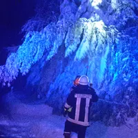 20171205_173647.jpg