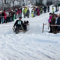 zuschlittenrennen-2017_11022017_111.jpg