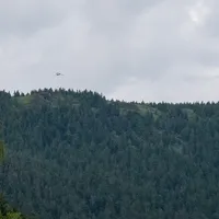 waldbrand_osserwiese_17062017_19.jpg