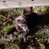 20181009_204151.jpg