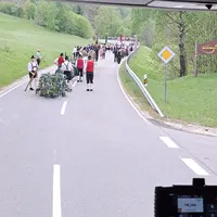 Maibaum.jpg